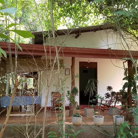 Thilina Homestay Сигирия Номер фото