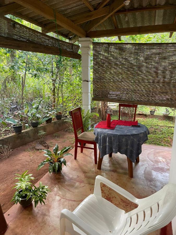 Thilina Homestay Сигирия Экстерьер фото